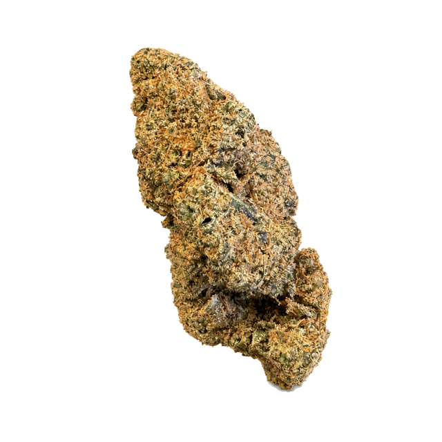 Acapulco Gold nug