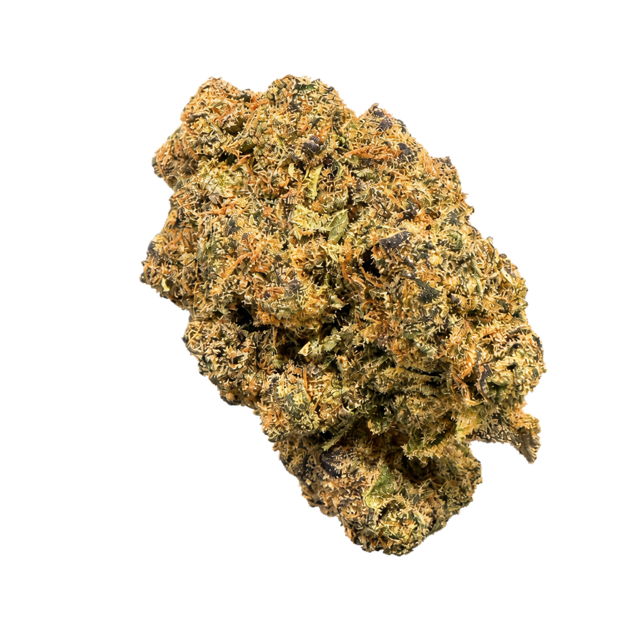 Boofscotti nug